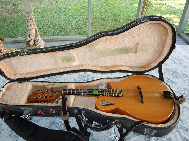 mandolin case
