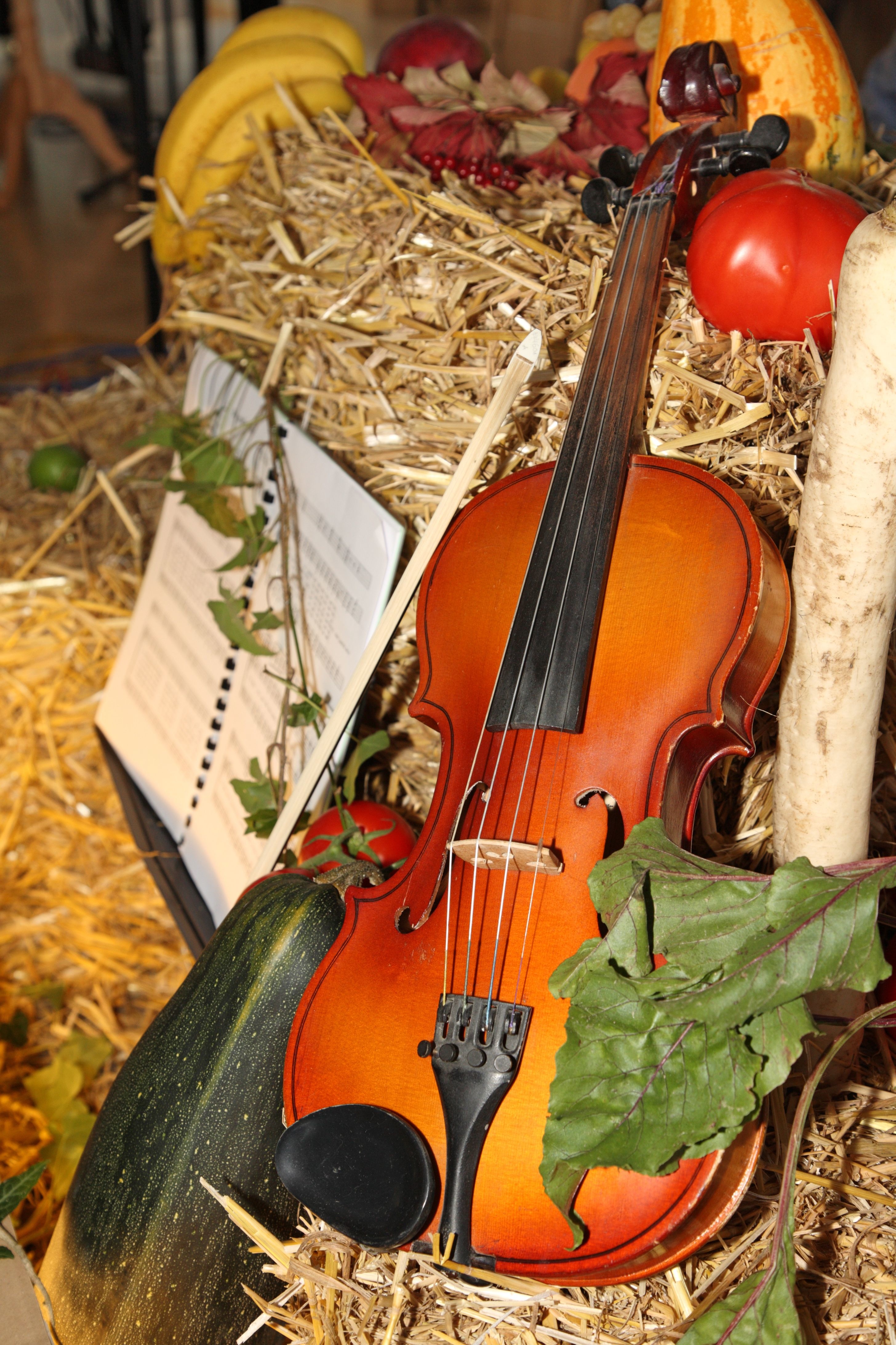 5710735 - violin and vegetables as thanksgiving day decoration